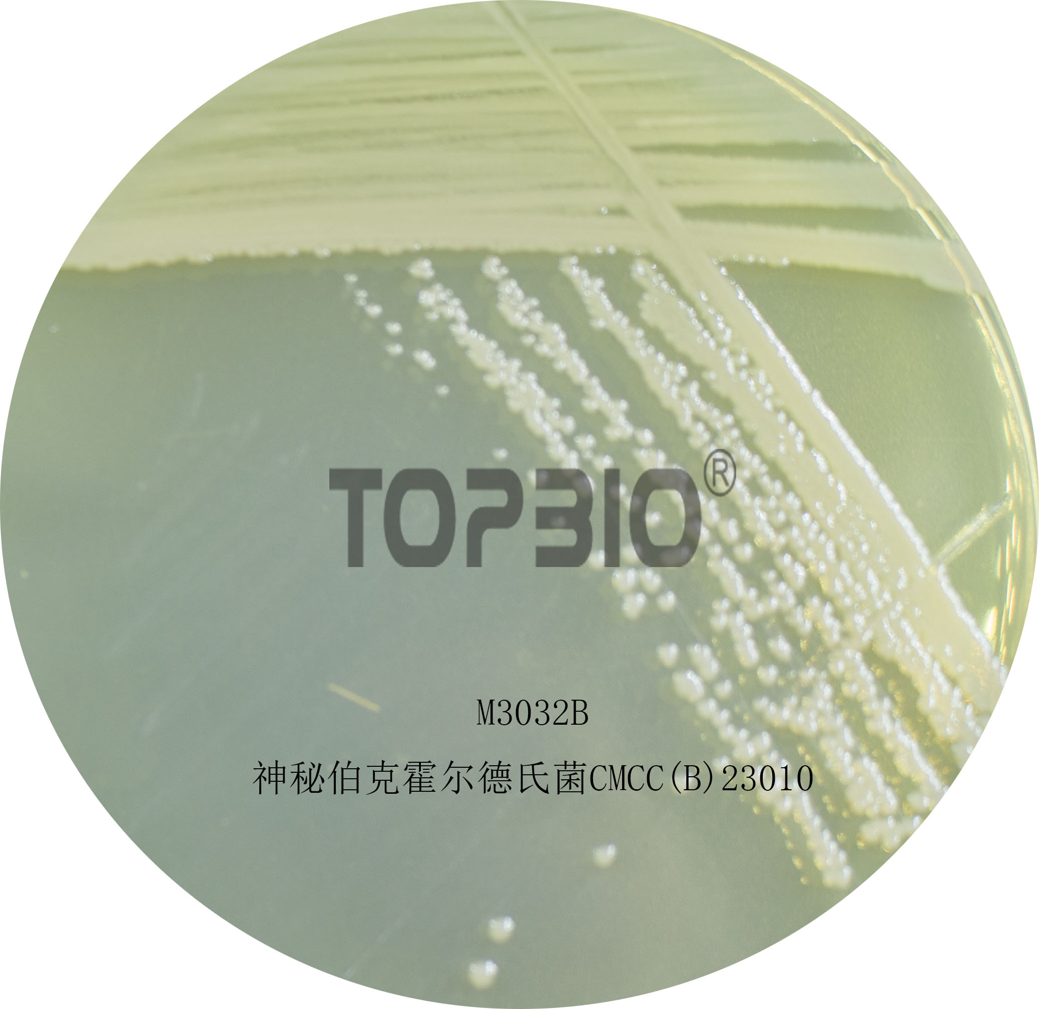 ���ز��˻������Ͼ�CMCC(B)23010��M3032������40-48h�ľ�������